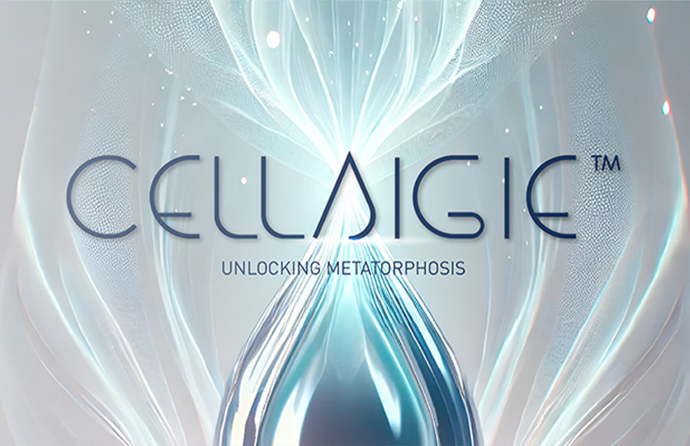 Cellaigie
