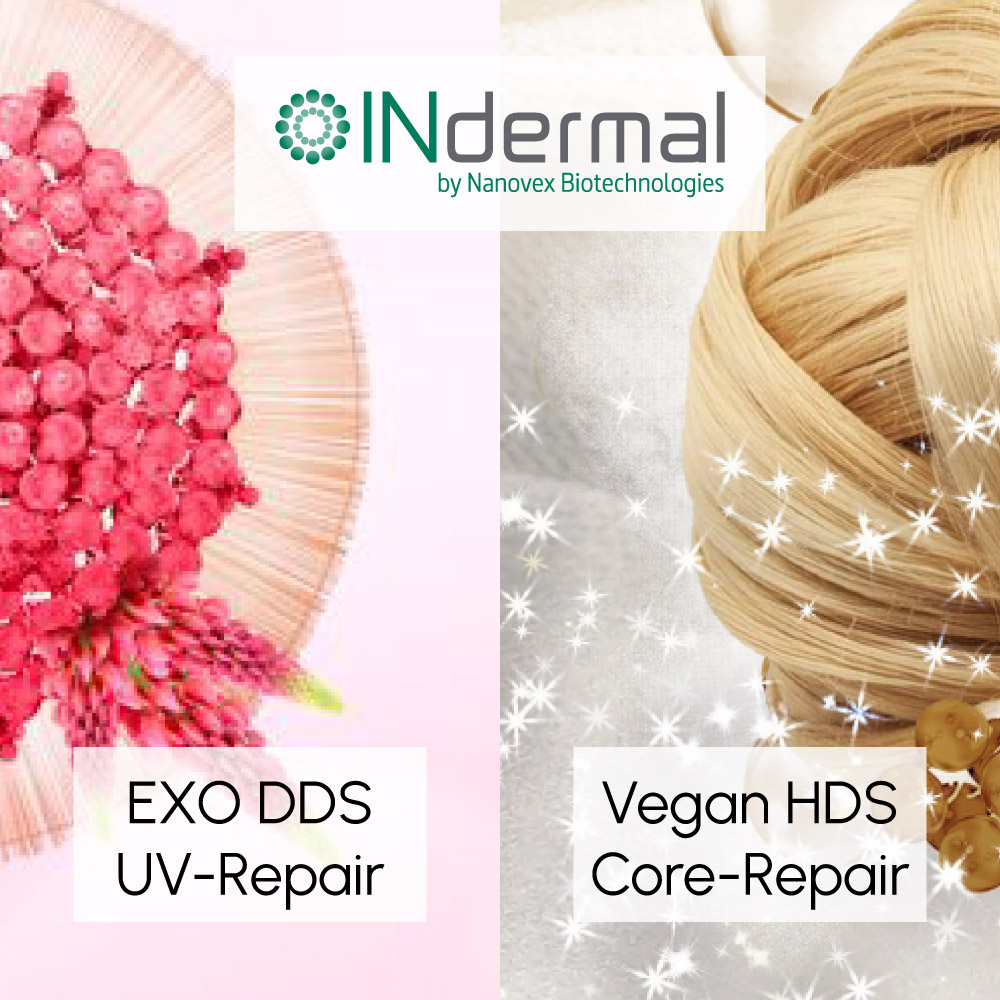 INdermal launches two new products: EXO DDS UV-Repair and VEGAN HDS Core Repair