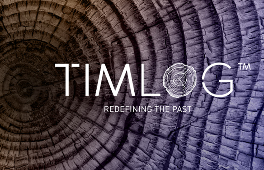 Timlog