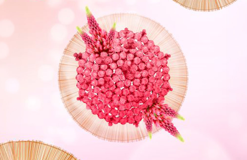 MCBeauty Product IPEPTIDE